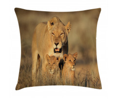 Safari Lions Wilderness Pillow Cover