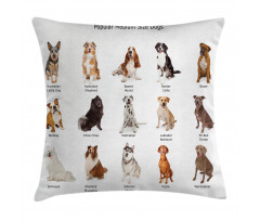 Puppy Breeds Family Pillow Cover