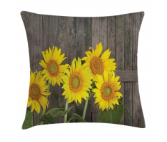 Helianthus Sunflowers Pillow Cover