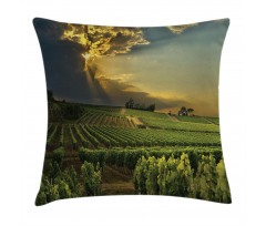 France Sunset Vineyard Pillow Cover