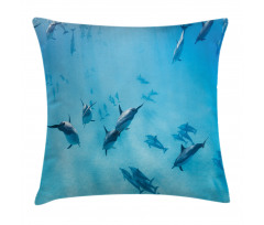 Dolphins Hawaii Ocean Pillow Cover