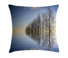 Frozen Lake in Nature Pillow Cover