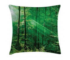 Forest Trees Morning Pillow Cover