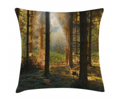 Sunset Dark Pine Trees Pillow Cover