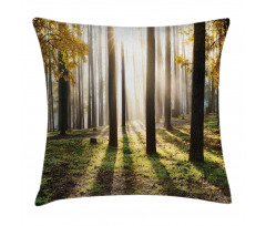 Forest Leaves at Sunrise Pillow Cover
