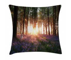 Sunrise Woods in Spring Pillow Cover