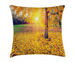 Evening Natural Park Pillow Cover