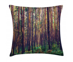 Fall Trees Forest Trunks Pillow Cover