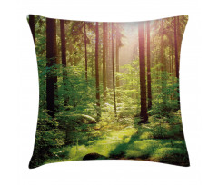 Sunset Moss Woods Trees Pillow Cover