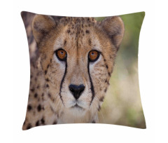 Spring Scenery in Alps Pillow Cover