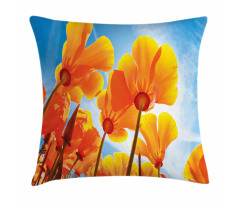 Petals Tilt Shot and Sky Pillow Cover