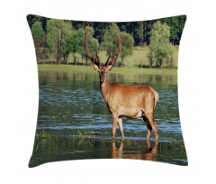 Mountain Animal in Water Pillow Cover
