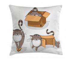 Kitten Cat in the Box Pillow Cover