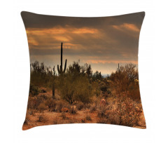 Dramatic Shady Desert Pillow Cover