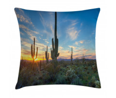 Cactus Noon Pillow Cover