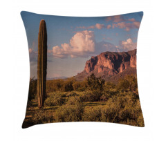 Mountain State Park Pillow Cover