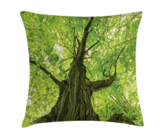 Old Big Majestic Tree Pillow Cover