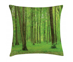 Forest in a Sunny Day Pillow Cover
