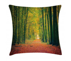 Warm Autumn Dramatic Road Pillow Cover