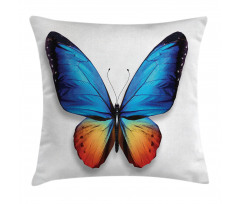 Cycle of Life Theme Pillow Cover