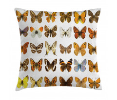 Butterfly Miracle Wing Pillow Cover