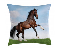 Horse Pacing on Grass Pillow Cover
