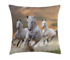 Mystical Sky  Pillow Cover