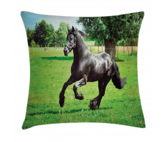 Friesian Horse Pillow Cover