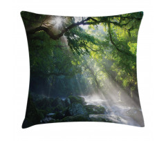 Jungle Sunlight Trees Pillow Cover