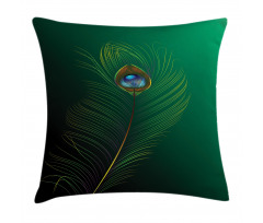 Peacock Bird Plumes Pillow Cover