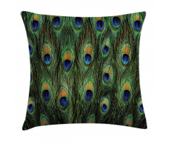 Exotic Animal Feathers Pillow Cover