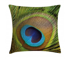 Green Peacock Feathers Pillow Cover