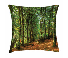 Woodland Pathway Scene Pillow Cover