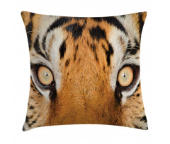 Tiger Eyes Wild Pillow Cover