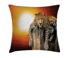 Safari Leopard on Tree Pillow Cover