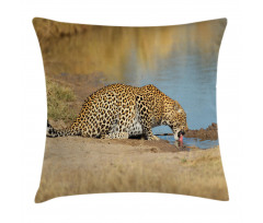 Leopard in Safari Pillow Cover