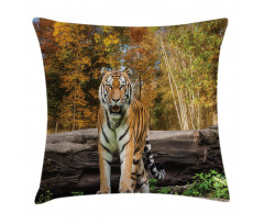 Tiger in Forest Pillow Cover