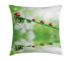 Ladybug on Water Image Pillow Cover