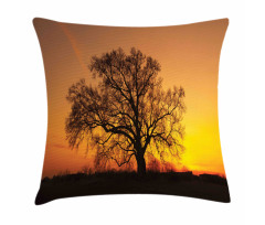 Old Oak at Sunset View Pillow Cover