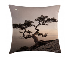 Lonely Juniper Tree Fall Pillow Cover