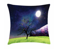 Full Moon Galaxy Grass Pillow Cover