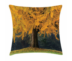 Leaves Tree Autumn Season Pillow Cover