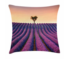 Lavender Flowers Field Pillow Cover