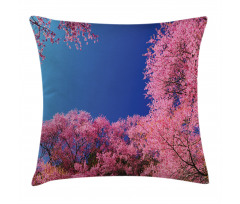Cherry Blossom Trees Pillow Cover