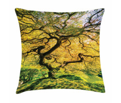 Large Maple with River Pillow Cover