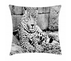 Wild Tiger Jaguar Pillow Cover