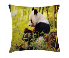 Panda Sitting in Forest Pillow Cover