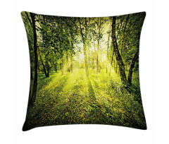 Scenic Morning in Nature Pillow Cover