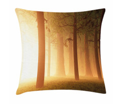 Foggy Hazy Woodland Pillow Cover