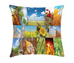 Sunflower Corn Wheat Pillow Cover